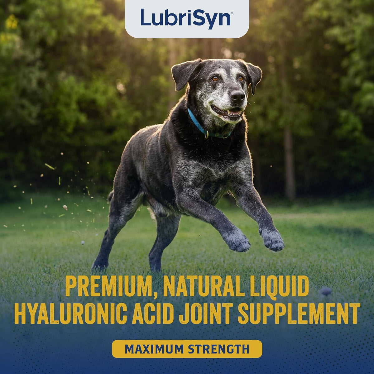 lubrisyn ha hyaluronic acid hip & joint supplement, close-up detail