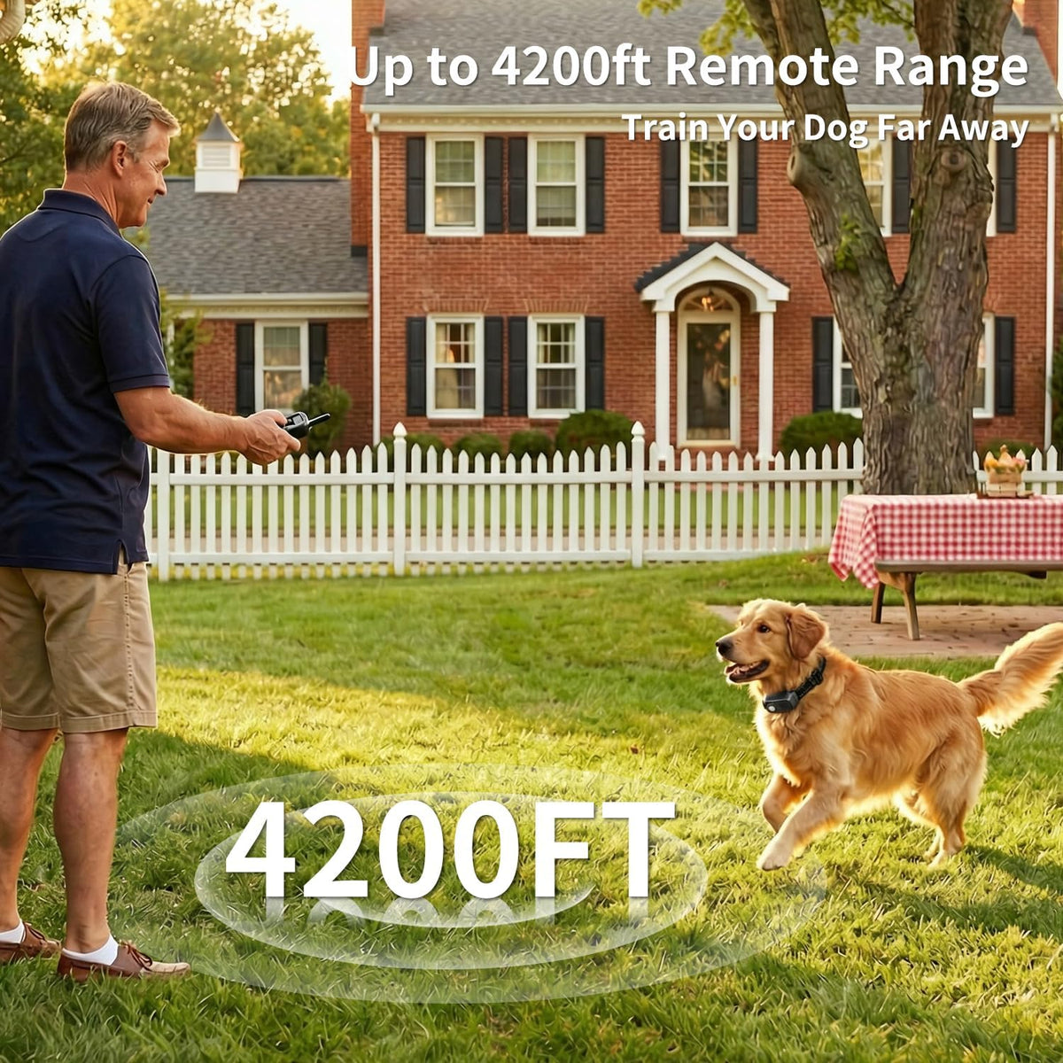 dog shock collar - 4200 feet training collar shown in use