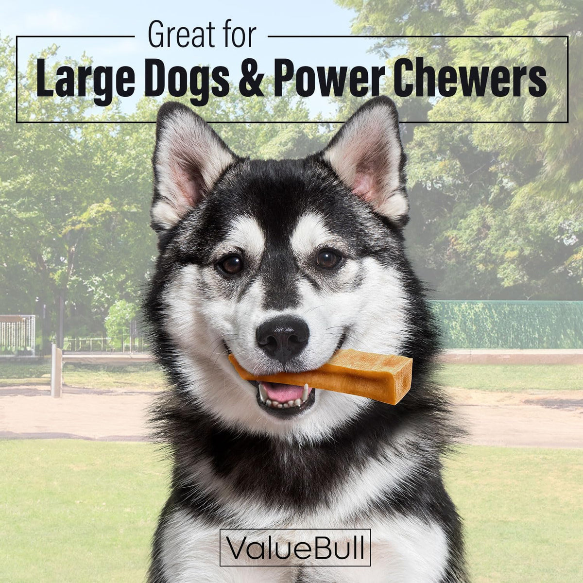 valuebull himalayan yak cheese dog chews, extra large shown in use