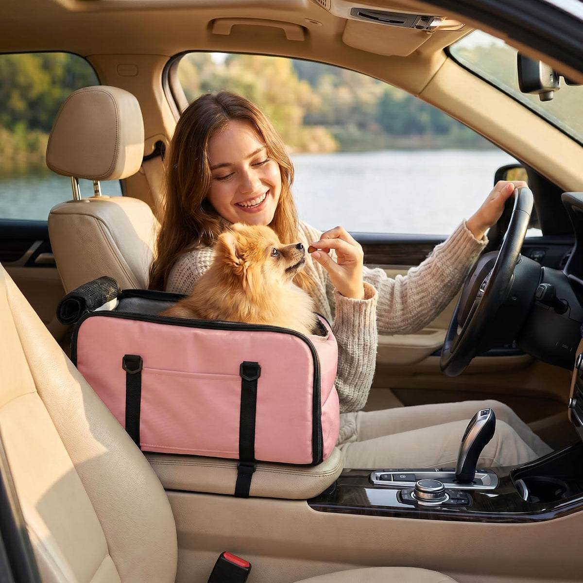 center console dog car seat for small dogs, close-up detail