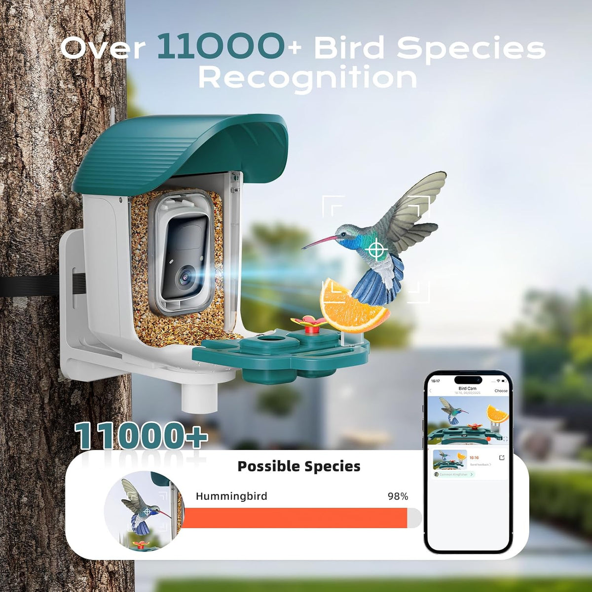 bird feeder with camera solar powered, 2k hd shown in use