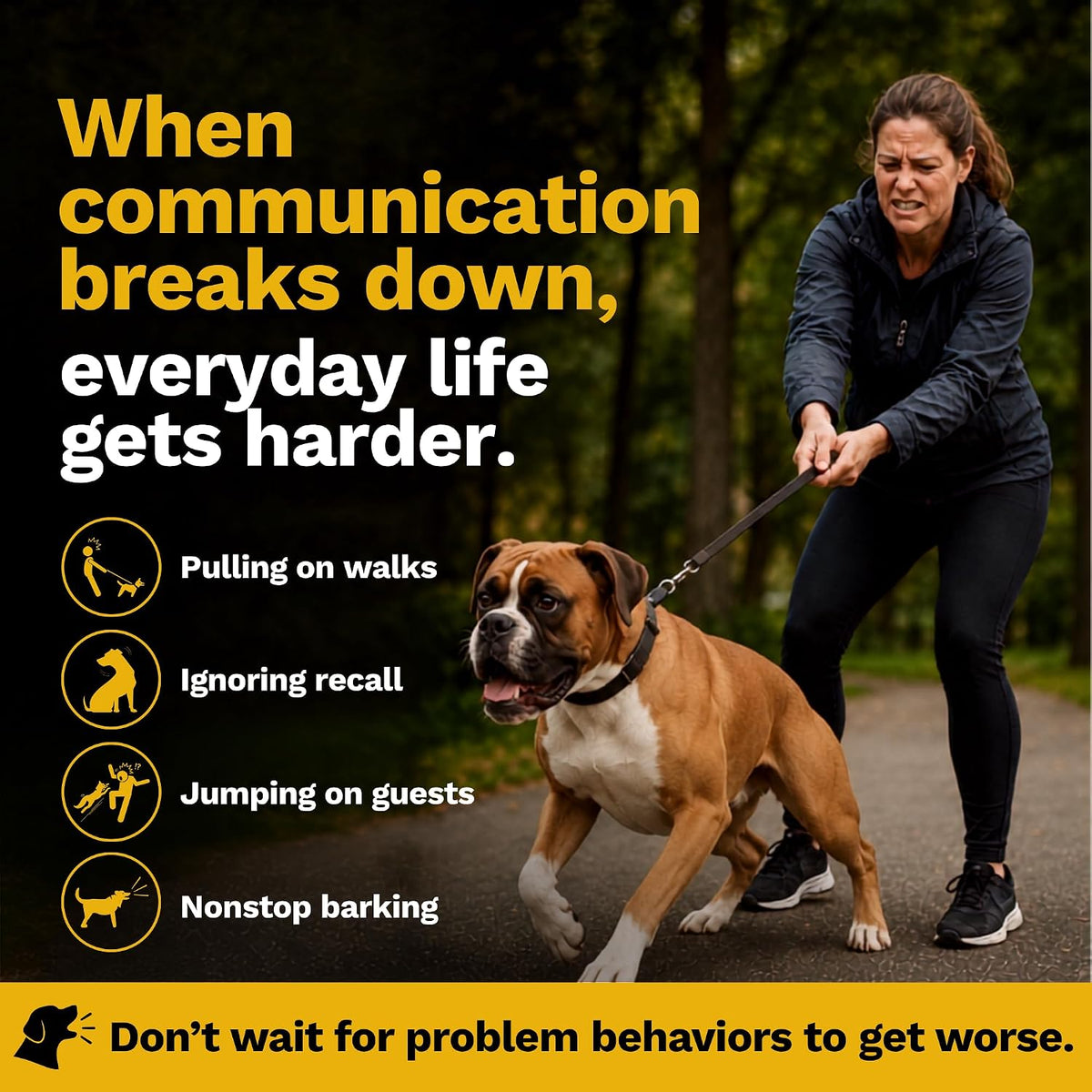 educator pe-900 pro e collar for dog training, close-up detail