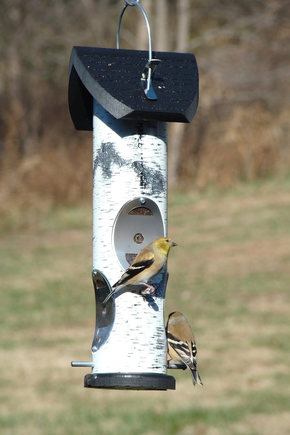 log2t birch log design bird feeder for thistle shown in use