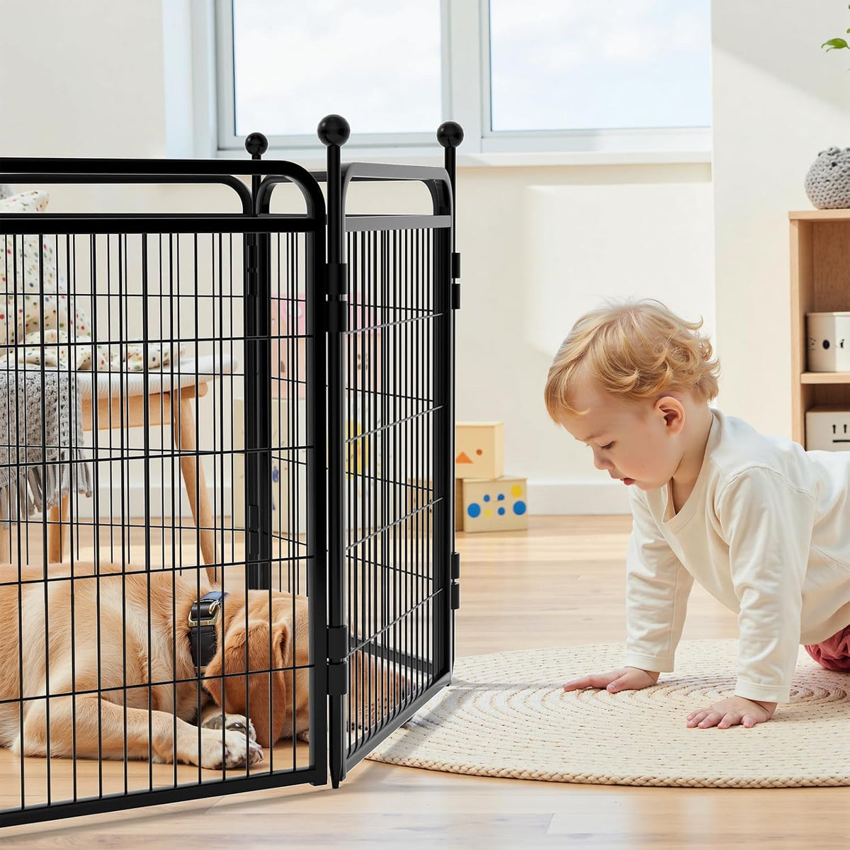 gardner pet dog playpens, 24" h 2 add-on on a desk or shelf