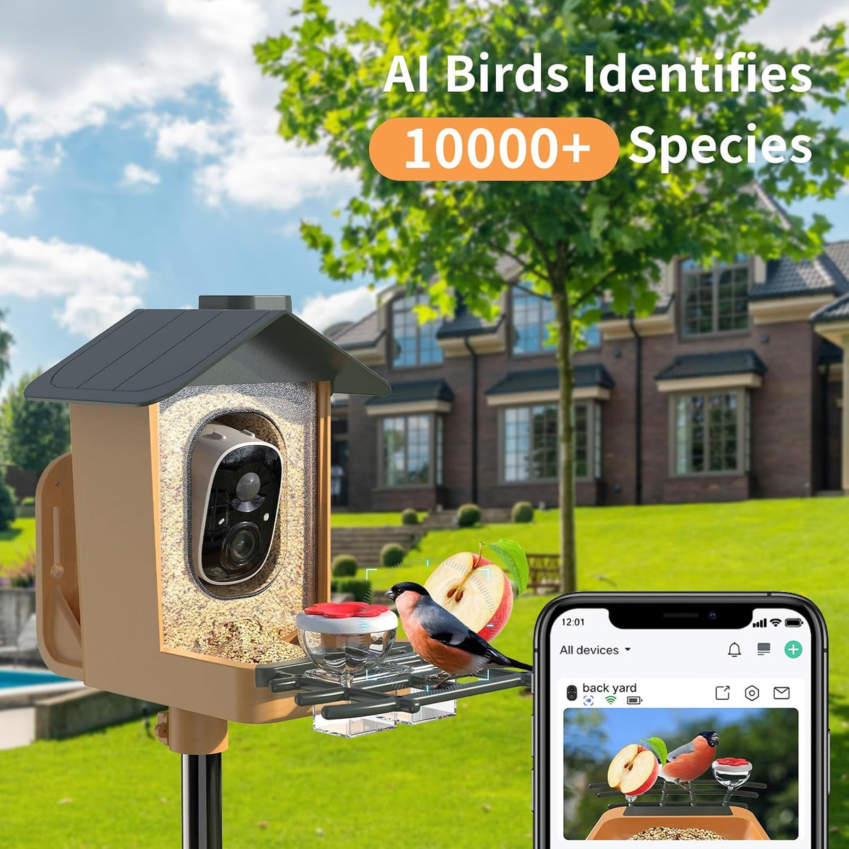 bird feeder with camera 2k hd video ai, close-up detail
