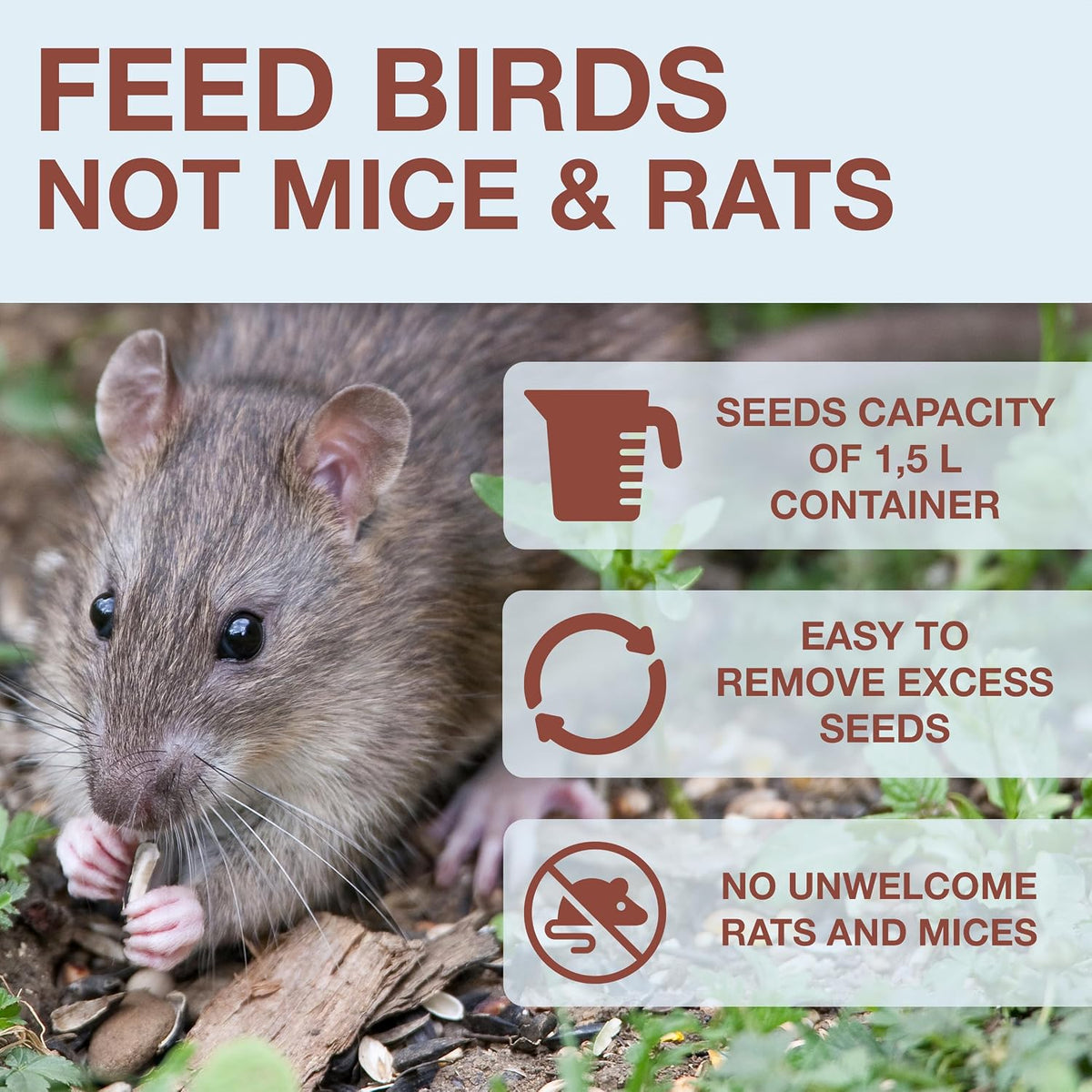 swissinno bird feeders - no mess hanging bird shown in use