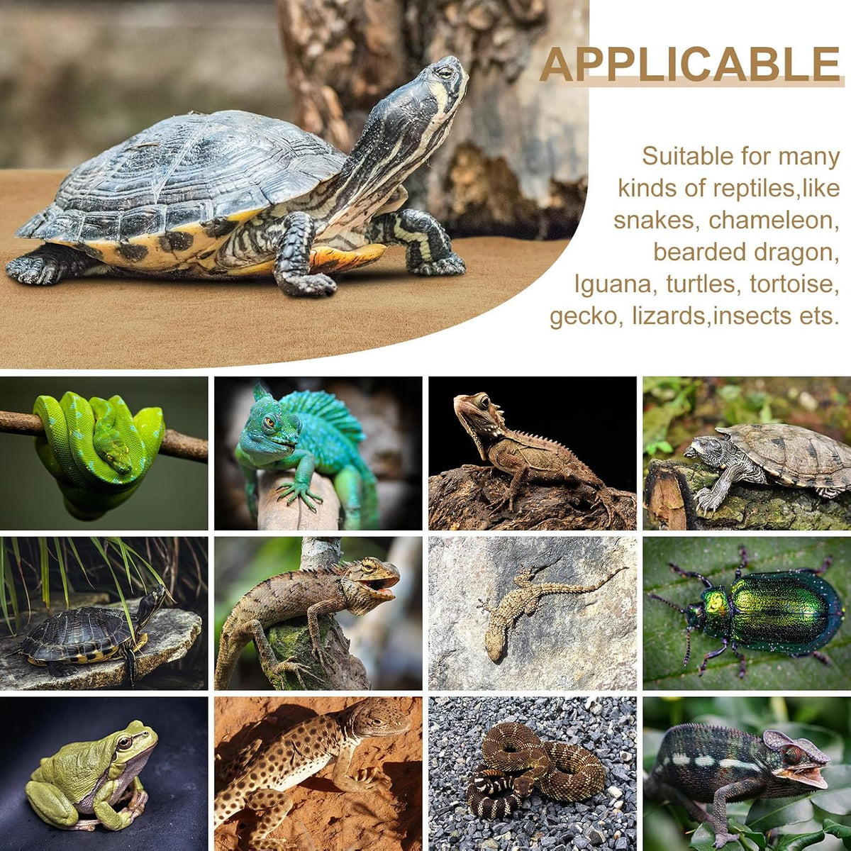 haull 4 pcs reptile carpet terrarium floor mat, package contents