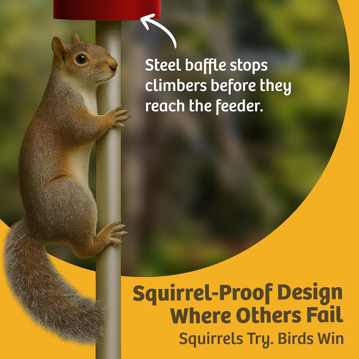 birds choice classic squirrel resistant bird feeder with, close-up detail