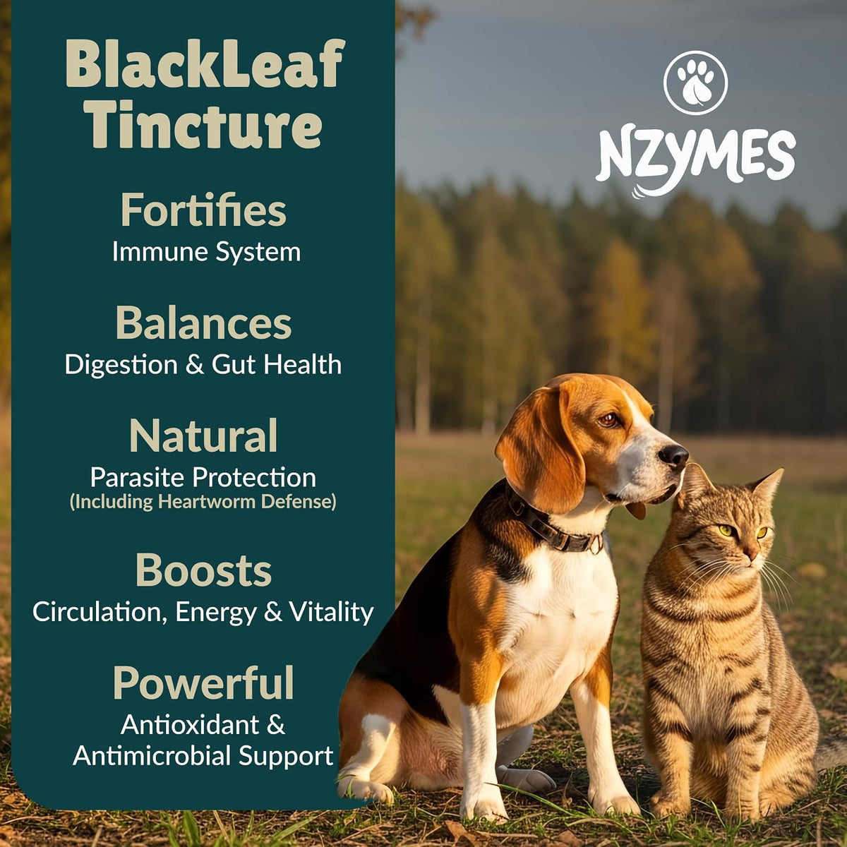 nzymes blackleaf tincture for pets, 2 fl oz shown in use