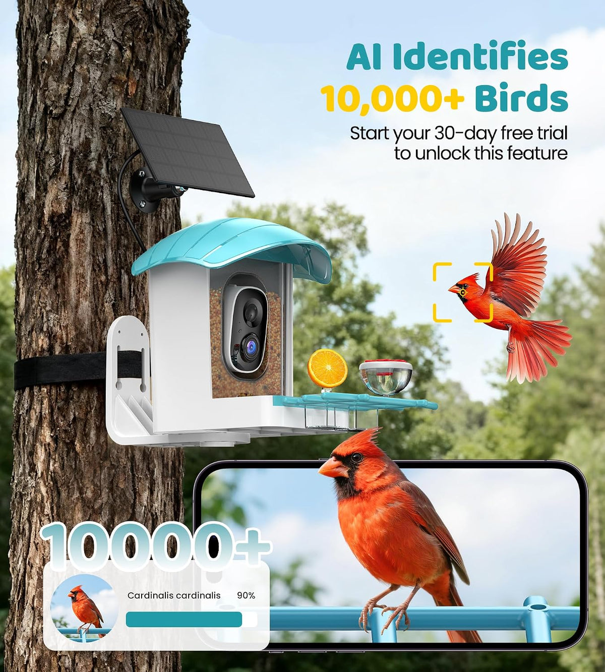 bird feeder with camera solar powered: smart bird, side view
