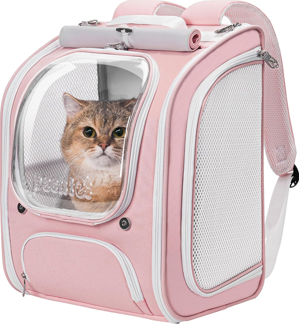 pecute cat backpack carrier,large space cat bubble backpack,ergonomic,pink, main product view