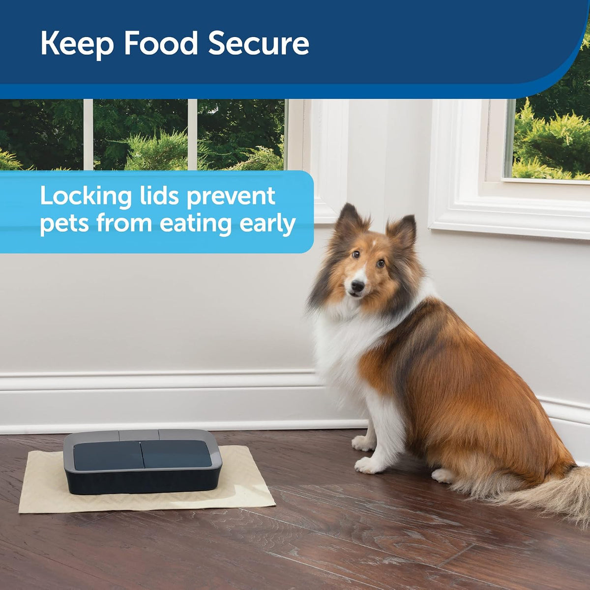 petsafe digital 2 meal programmable pet feeder, close-up detail