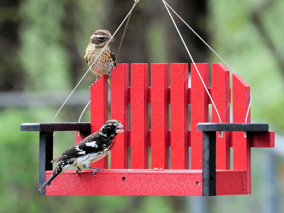 amishtoybox porch swing bird feeder, eco-friendly poly lumber, main product view