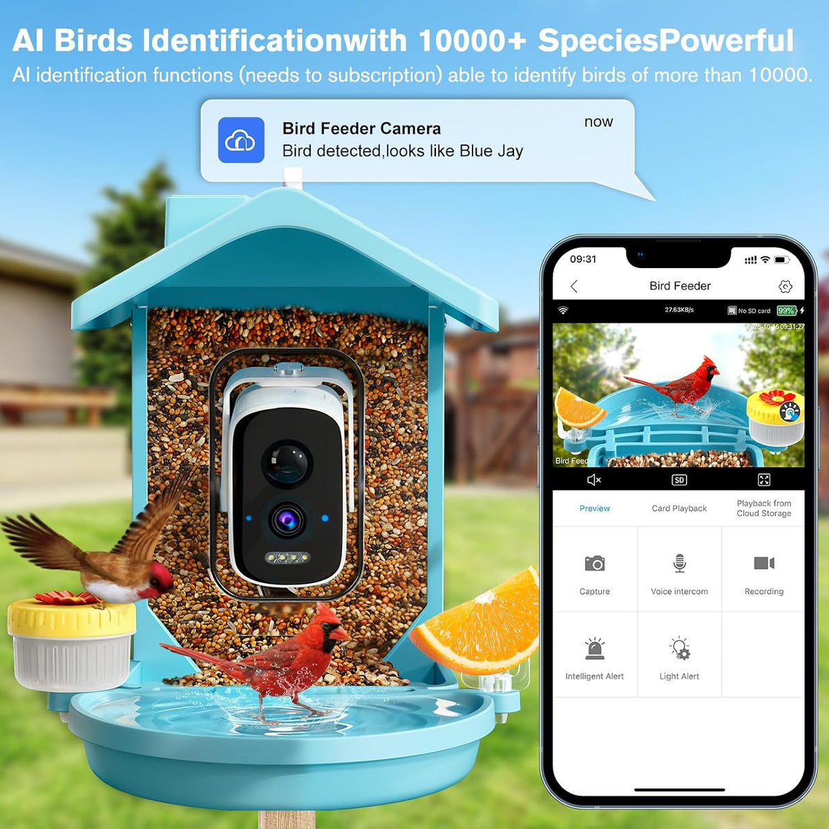 smart bird feeder with camera solar powered, ai showing dimensions