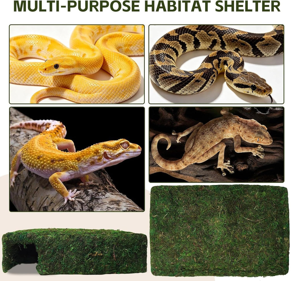 l size green moss cave hide, reptile shelter on a desk or shelf