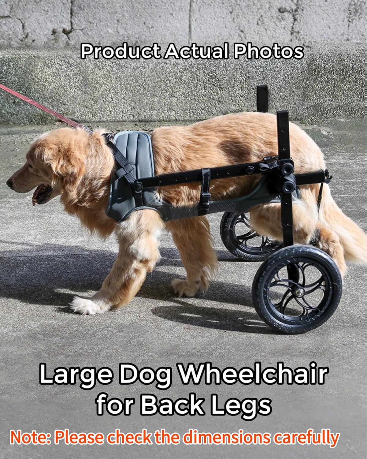 adjustable large dog wheelchair for back legs, upgraded shown in use