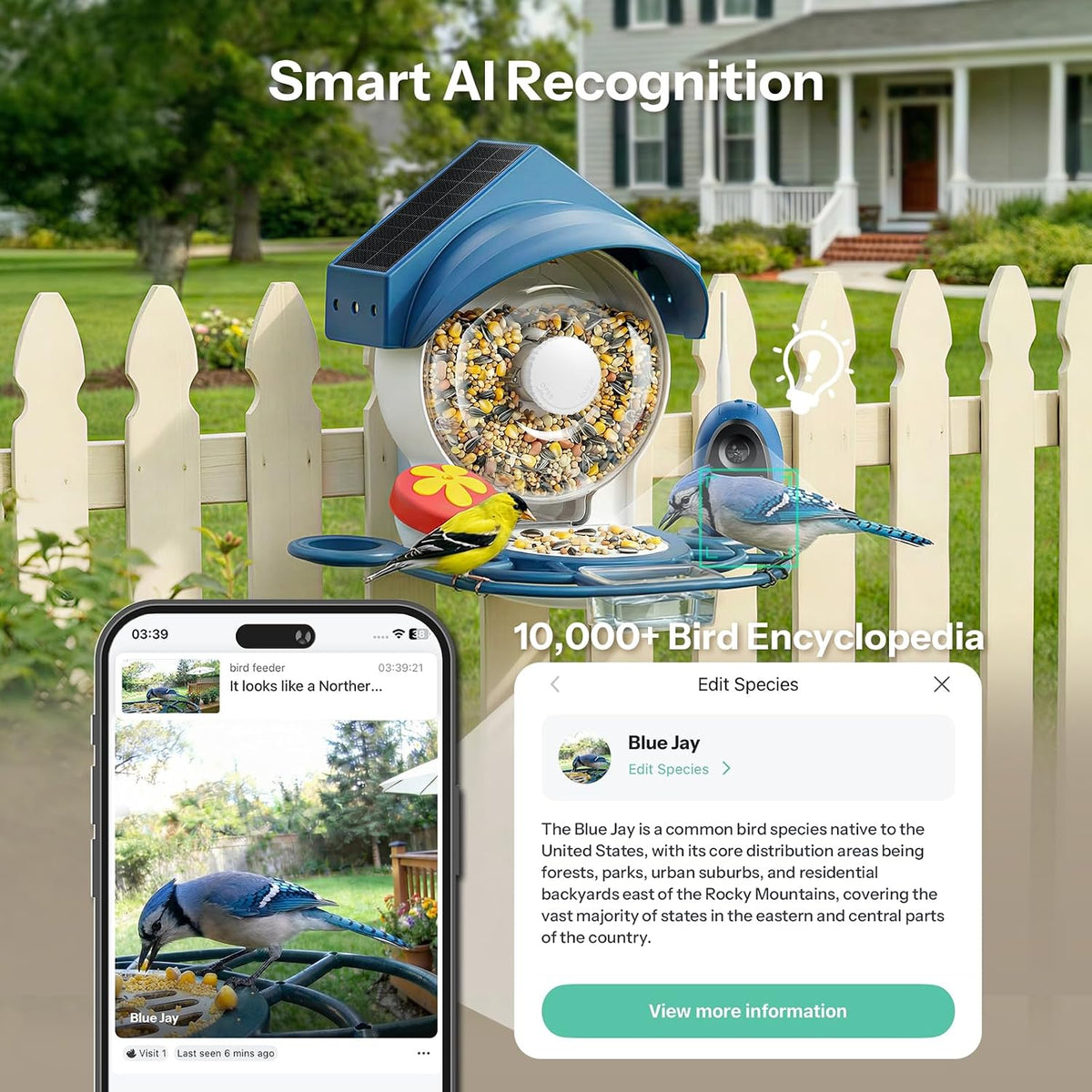 smart bird feeder with camera - 2k hd, side view