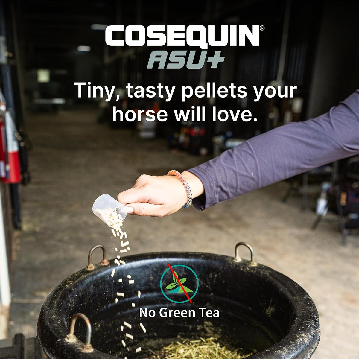 nutramax cosequin asu plus joint supplement for horses, side view