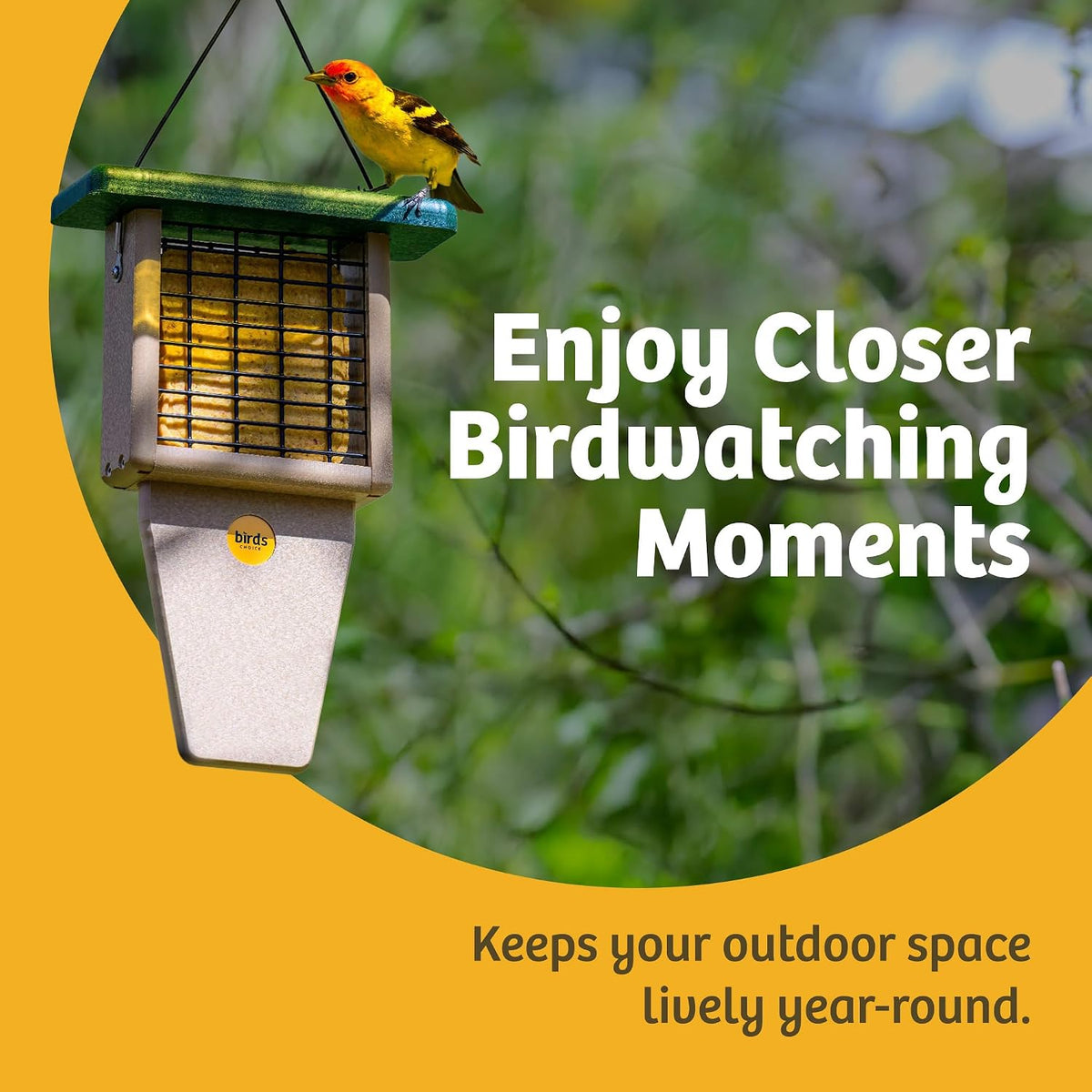 birds choice suet feeder with tail prop and, close-up detail