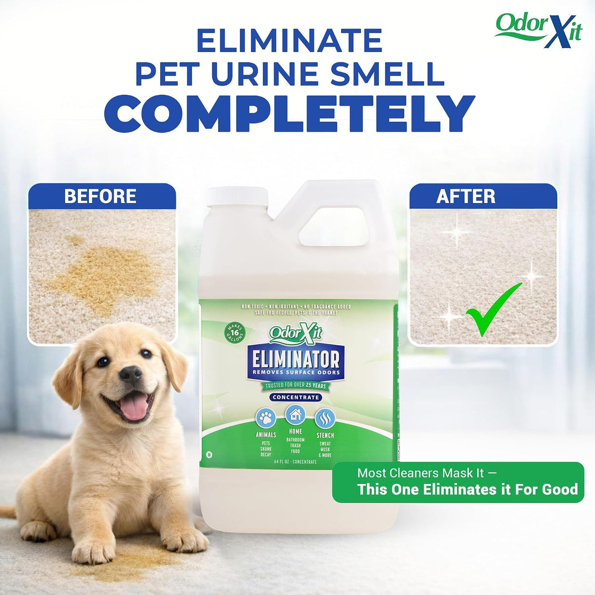 concentrated pet urine odor eliminator, ideal for cat shown in use
