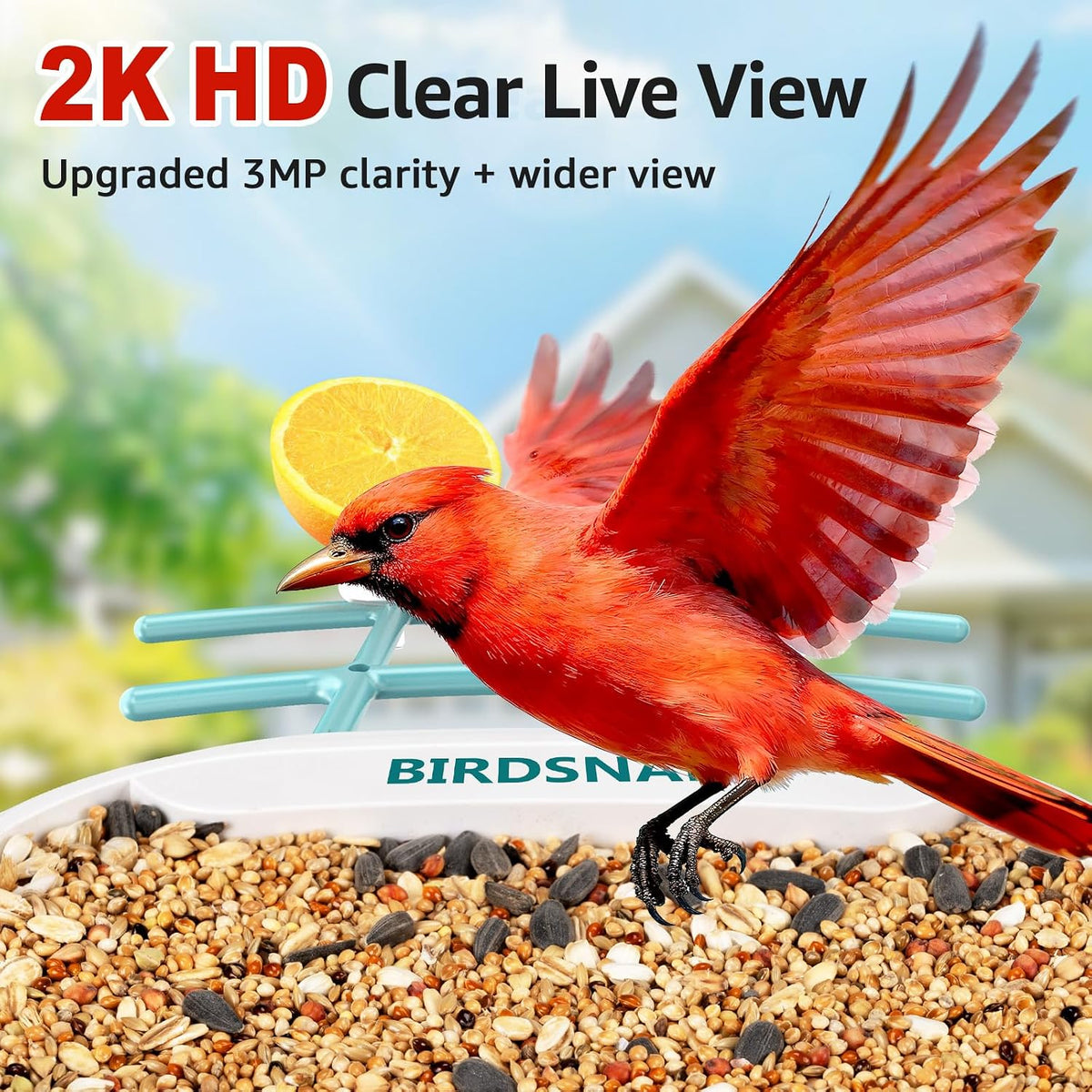 birdsnap® tuc bird feeder with camera solar powered, close-up detail