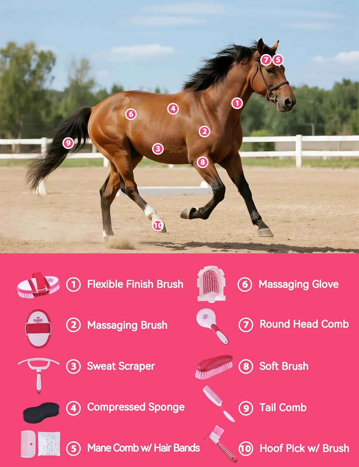 horse grooming kit, 11 piece horse brush set shown in use