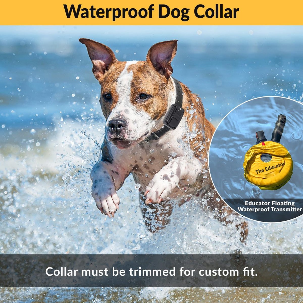 e-collar educator et-402 dog training collar, 2 dog showing dimensions