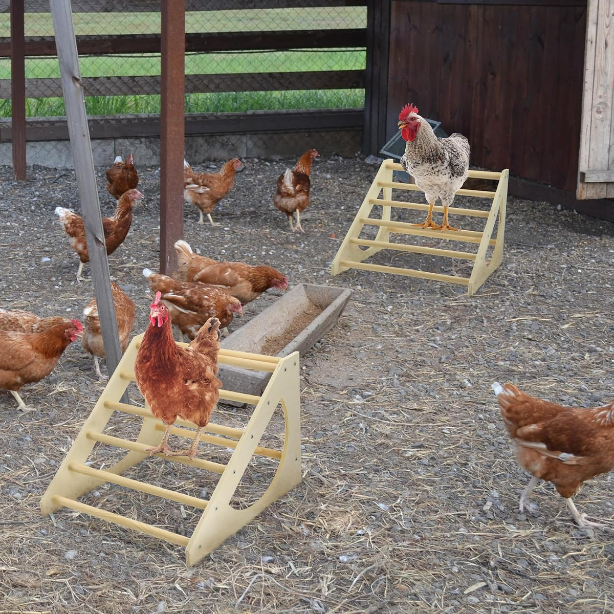 chicken roosting bar solid wood roosting ladder poultry showing dimensions