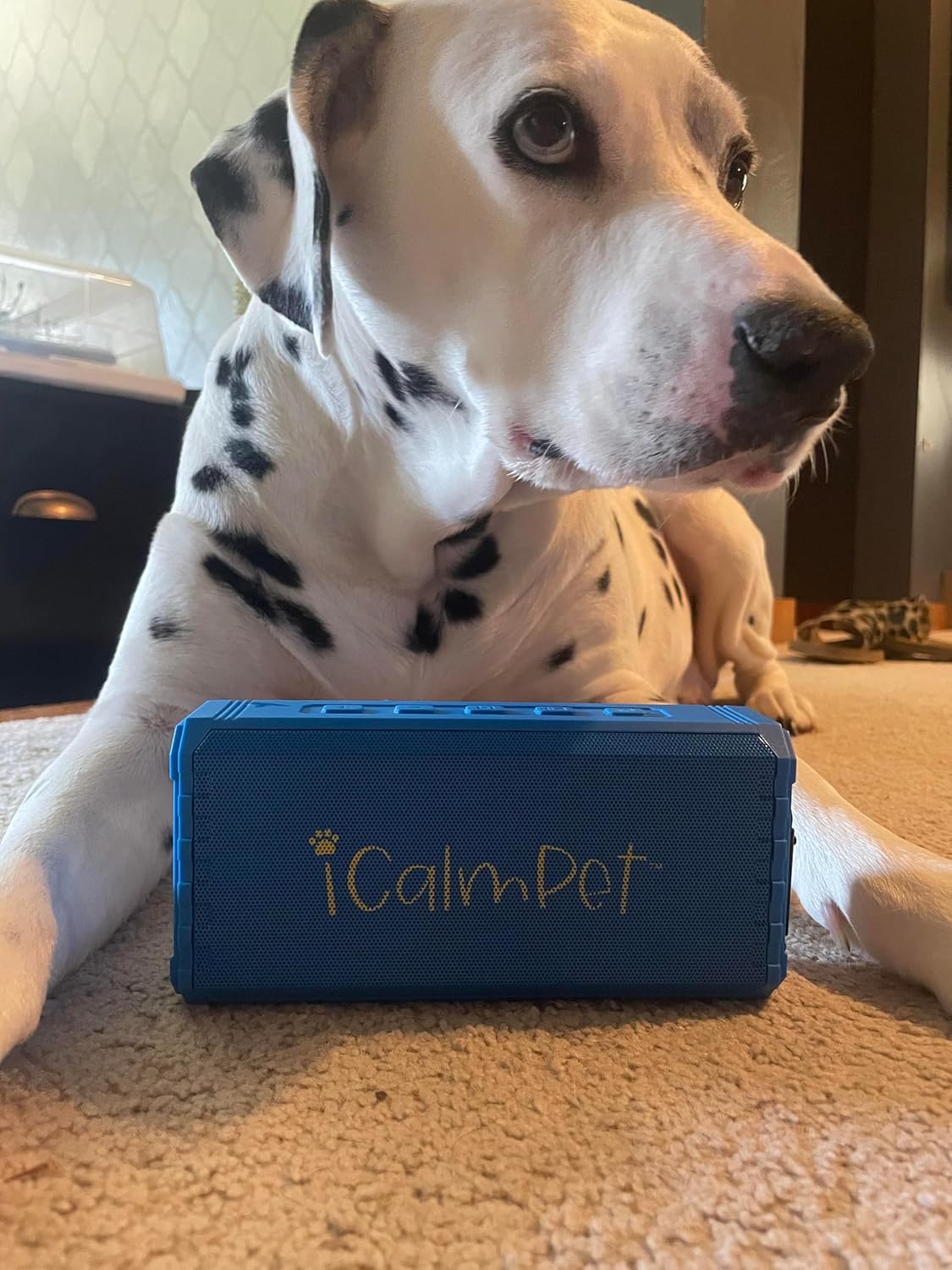 puppy pak | icalmpet ruff 'n ready portable, side view