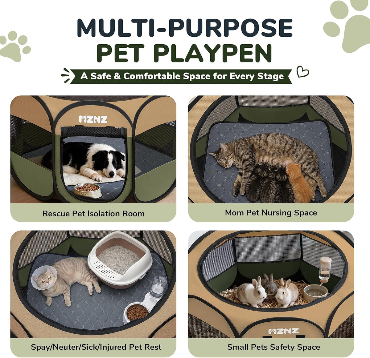 dog cat small animal puppy playpen with pee, close-up detail