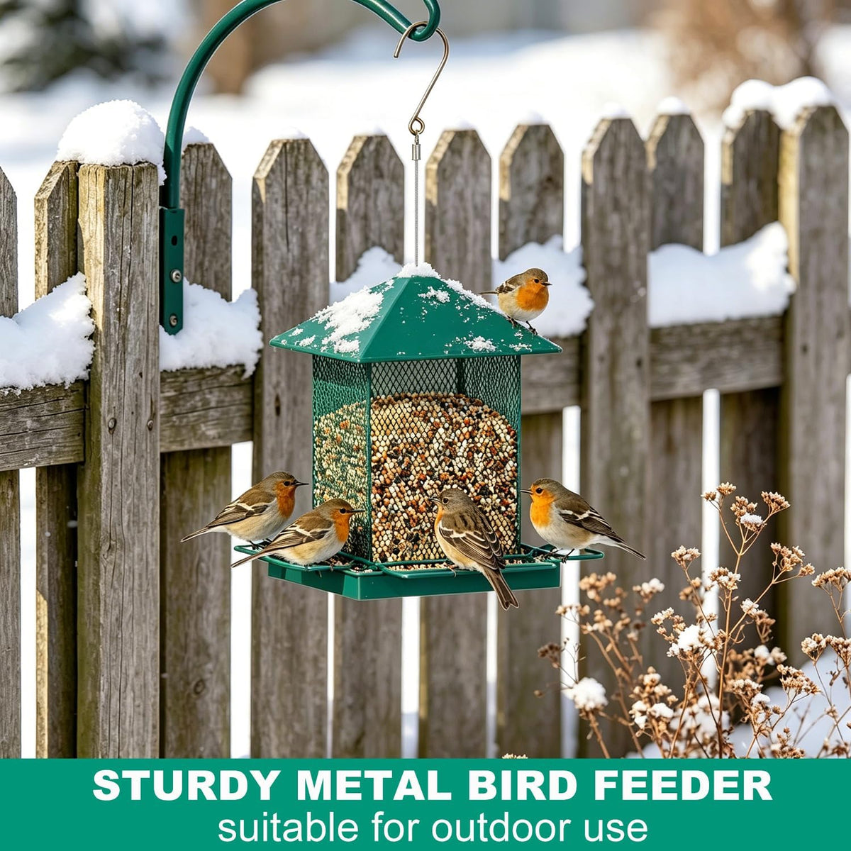 hosun 100% metal hanging wild bird feeder, bird, close-up detail