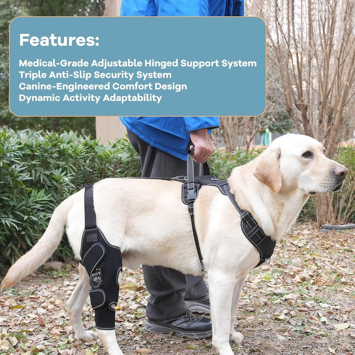 dog knee brace with adjustable support – acl, close-up detail