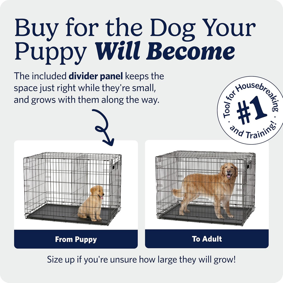 midwest 48-inch single door icrate, for extra-large breeds, close-up detail