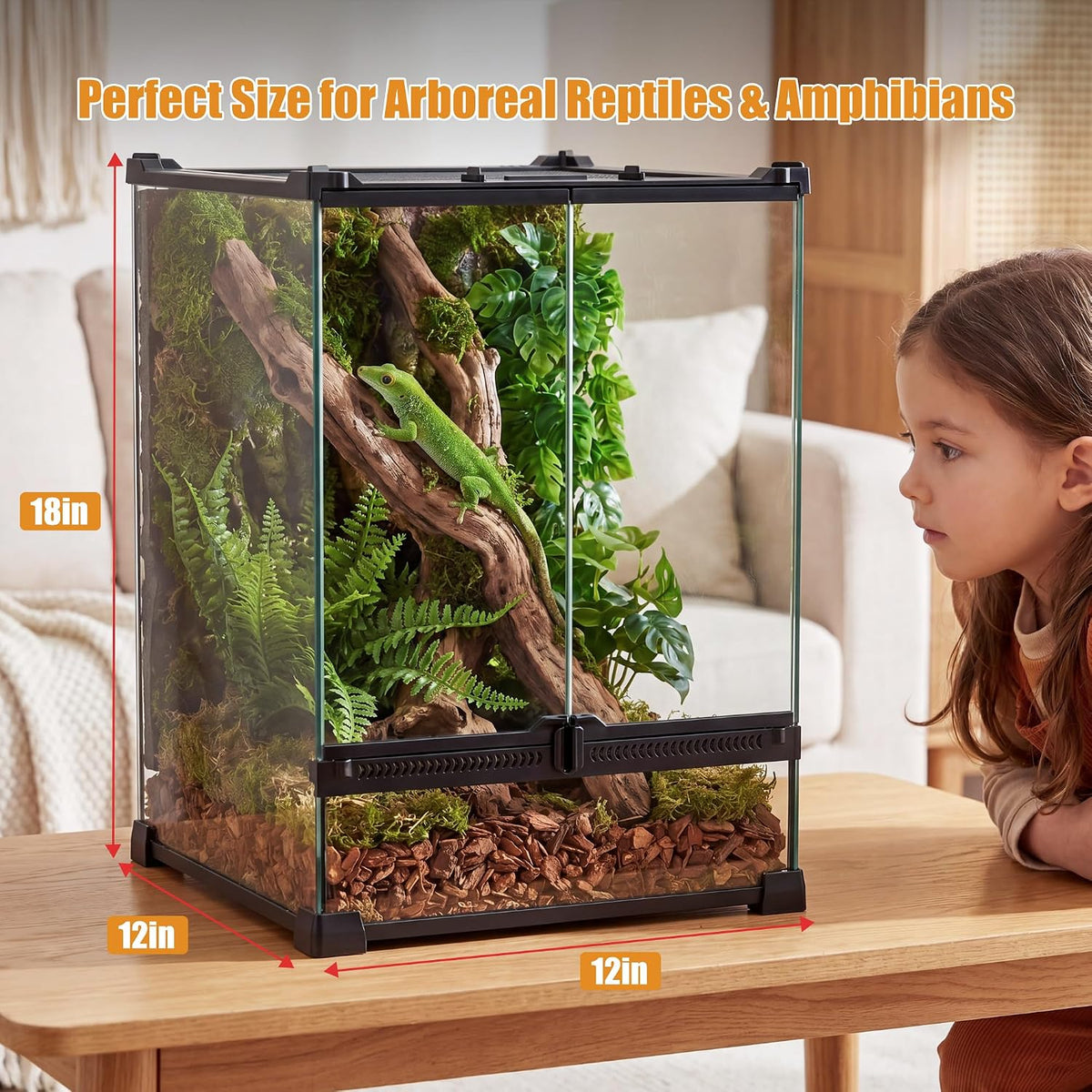 11 gallon fully assembled glass reptile enclosure,12"x 12" shown in use