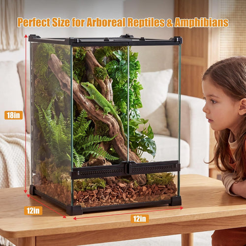 11 gallon fully assembled glass reptile enclosure,12"x 12" shown in use