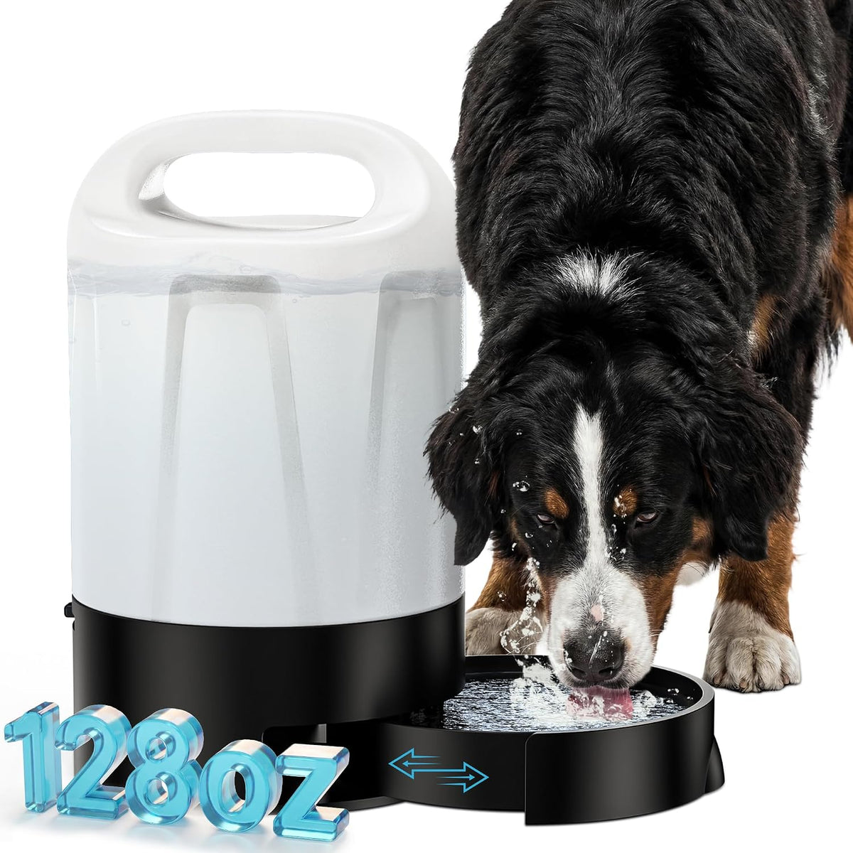 petnf 1 gal gravity fed automatic dog water, main product view