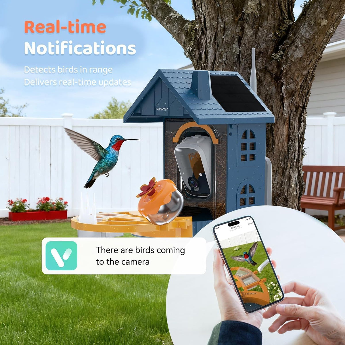 smart bird feeder with camera outdoor birdhouse:ai identifies showing dimensions