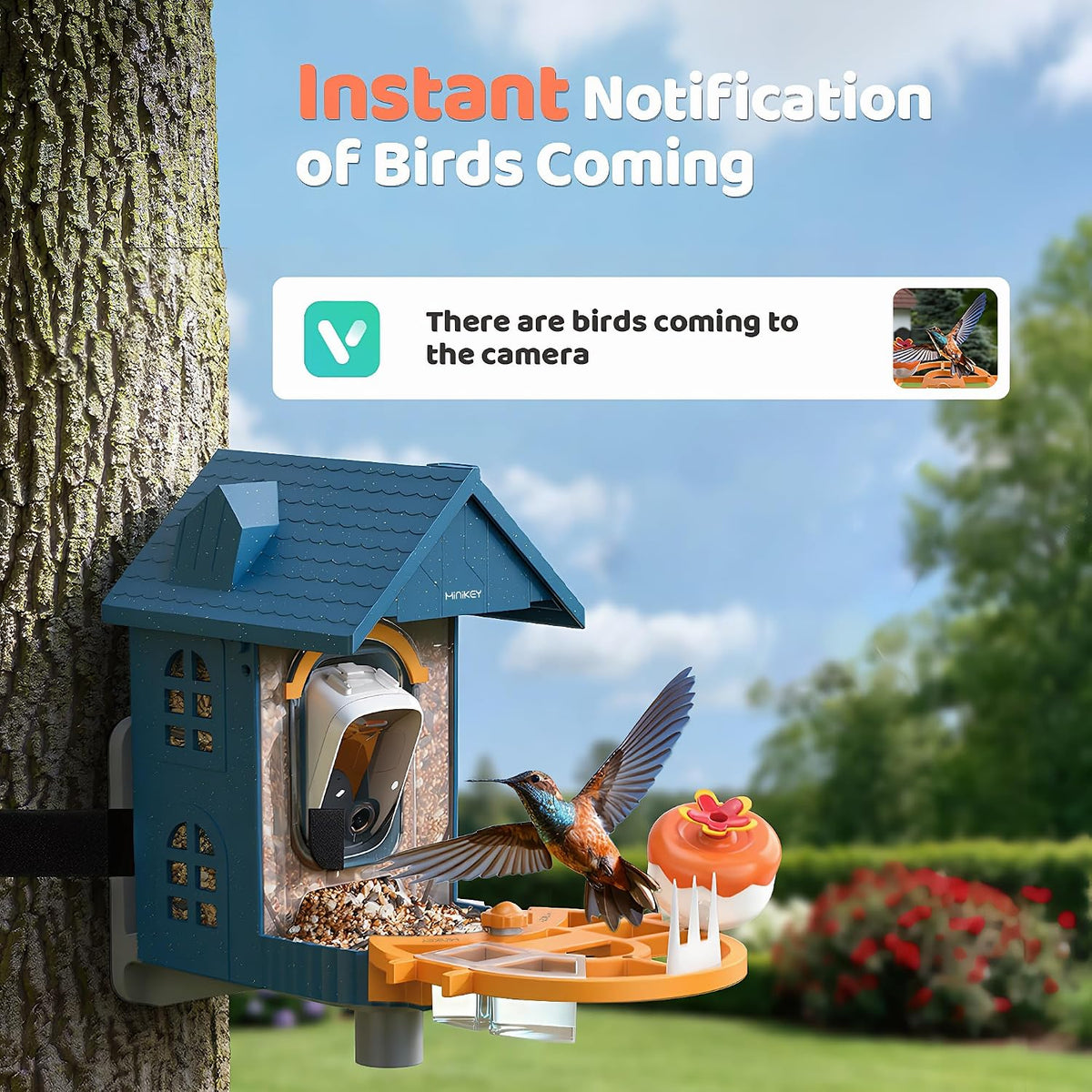 smart bird feeder camera solar powered,2k hd video, close-up detail