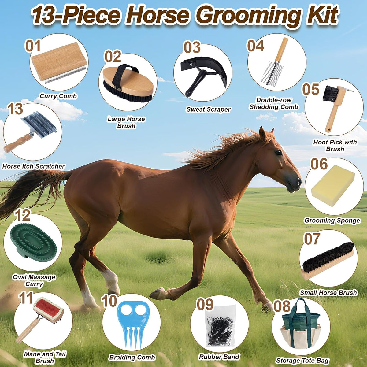 13-piece horse grooming kit for daily care,complete horse shown in use