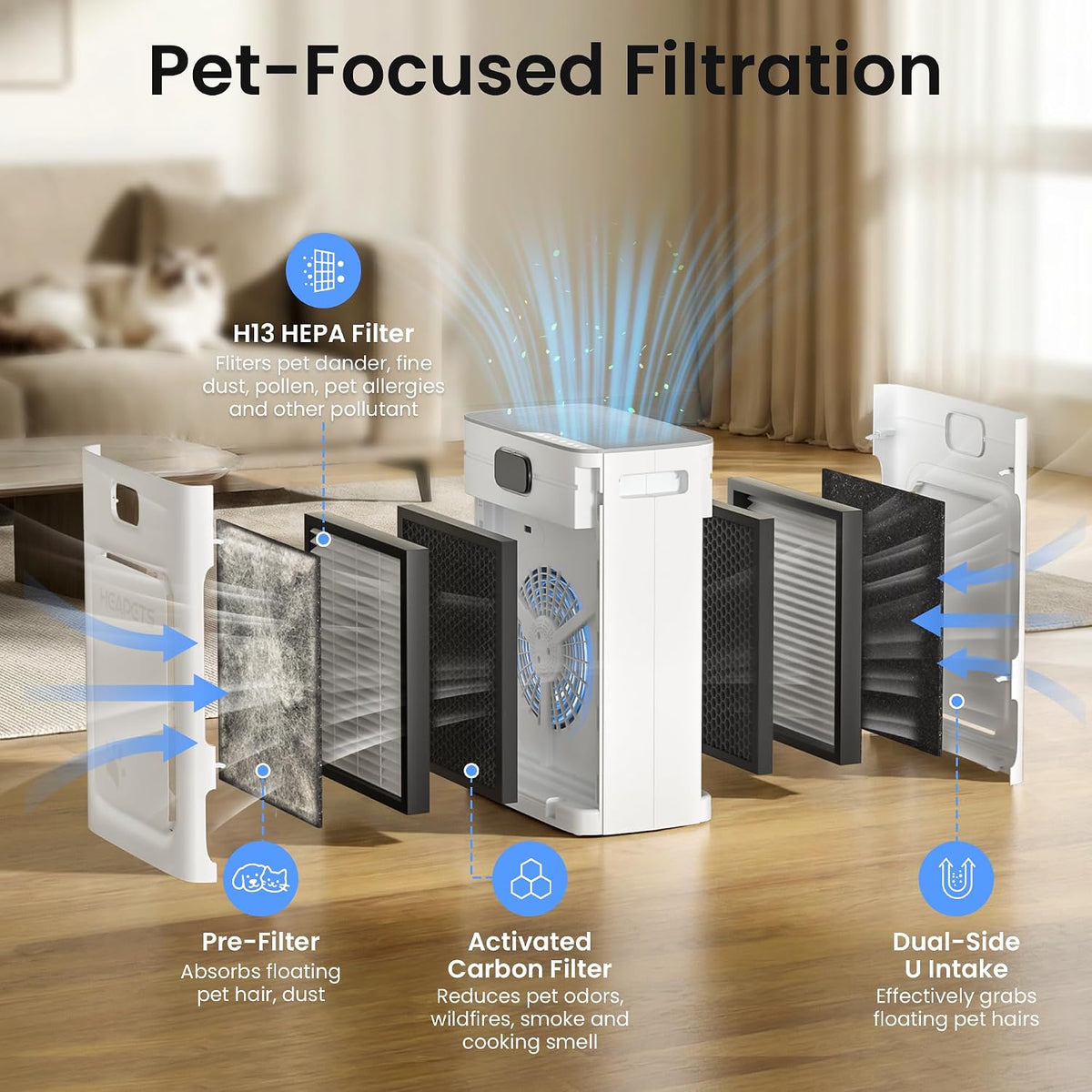 pet air purifier for home 2500 sq ft showing dimensions