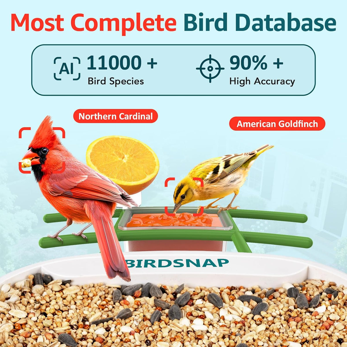 birdsnap® tuc bird feeder with camera solar powered shown in use