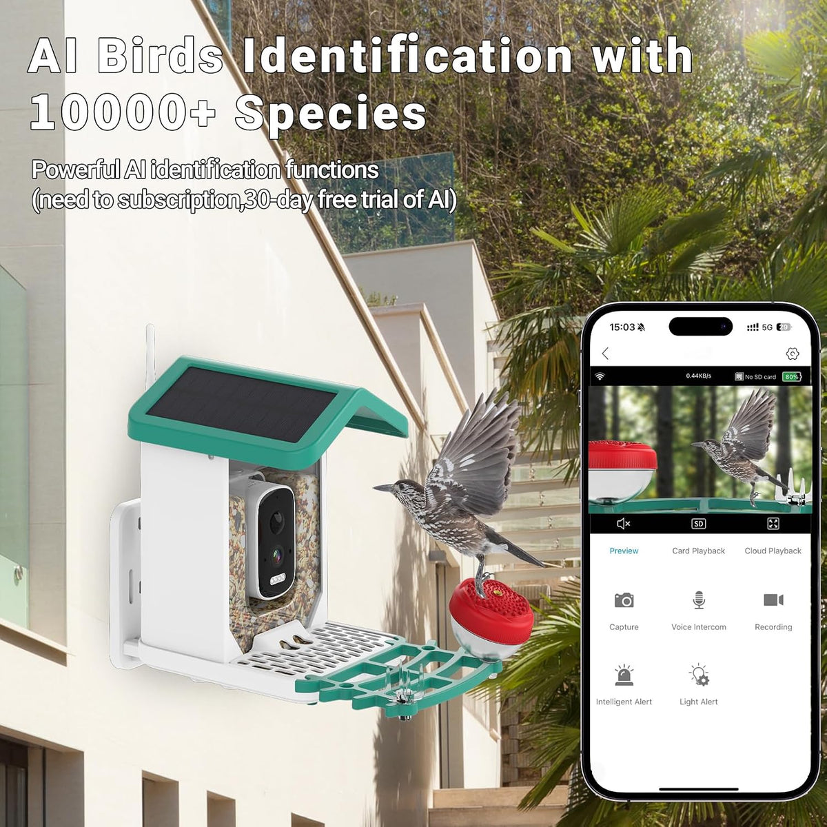 smart bird feeder with camera solar powered, 2.5k shown in use