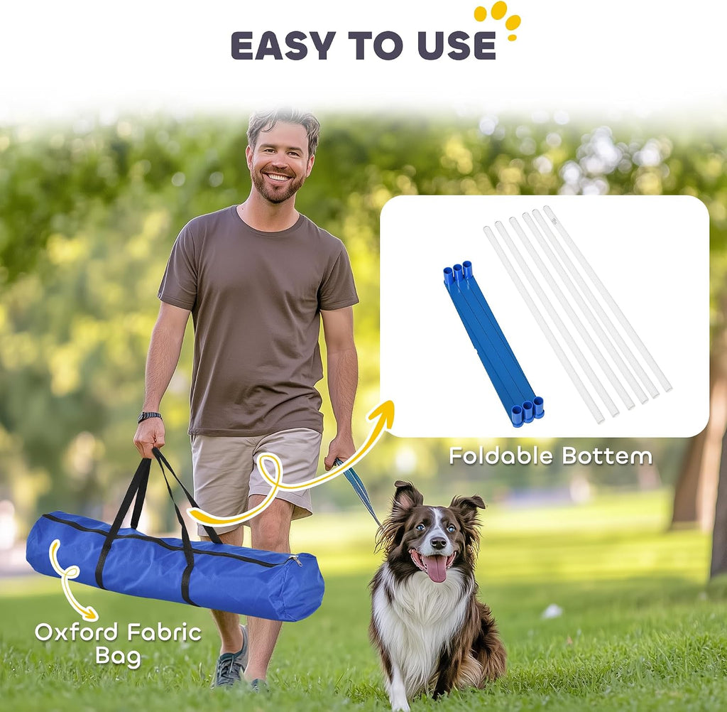 pawhut dog agility training equipment set with weave showing dimensions