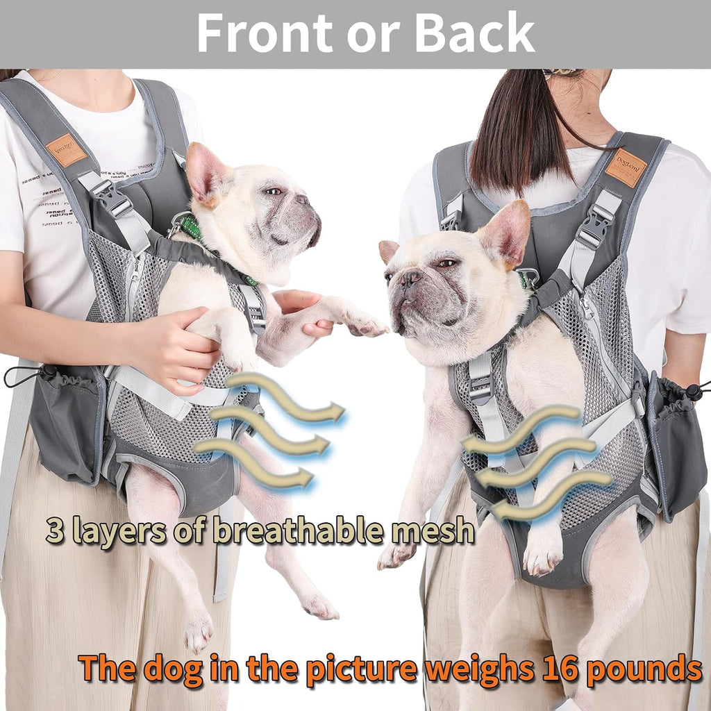 dog carrier backpack - legs out front facing showing dimensions