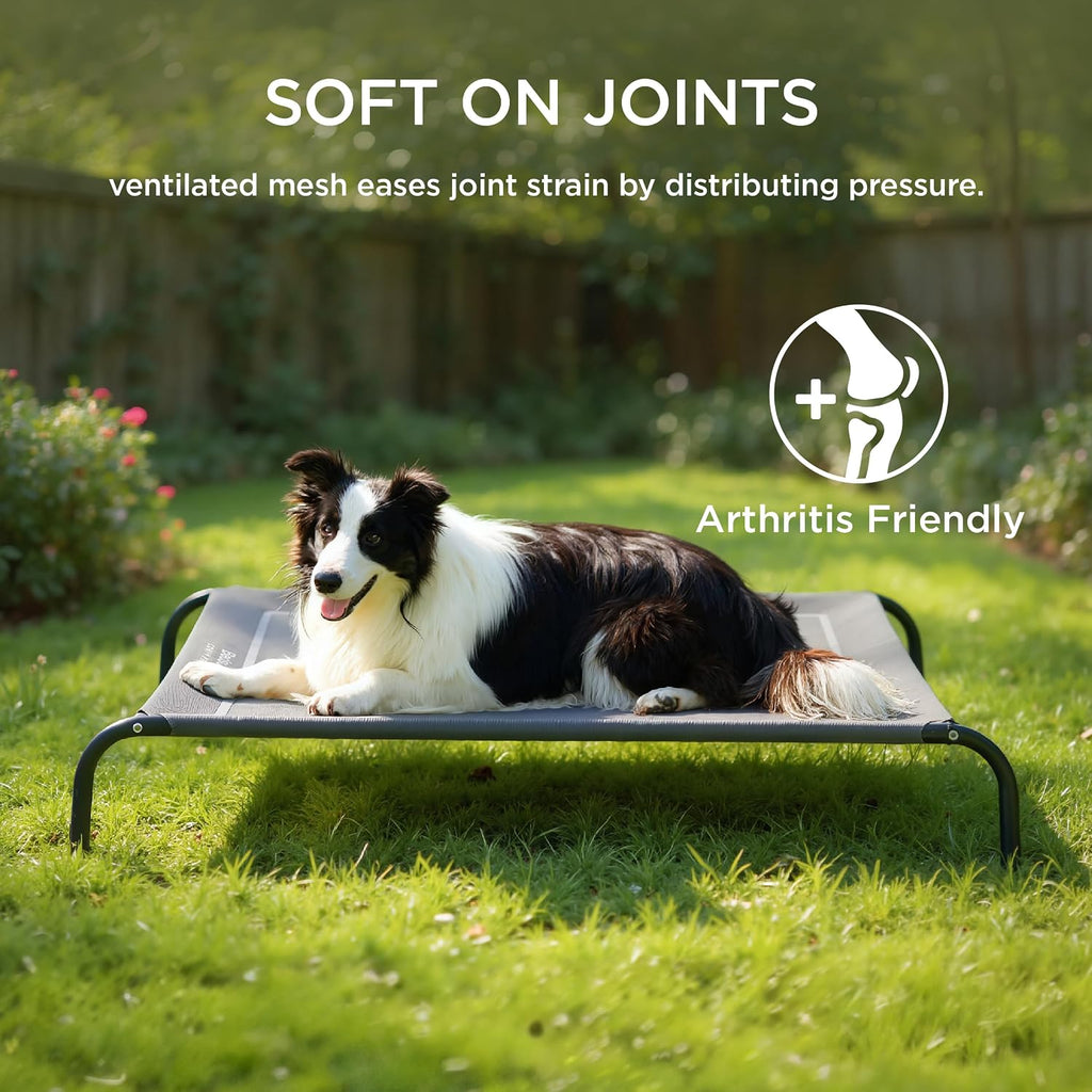 bedsure outdoor elevated cooling dog bed large sized on a desk or shelf