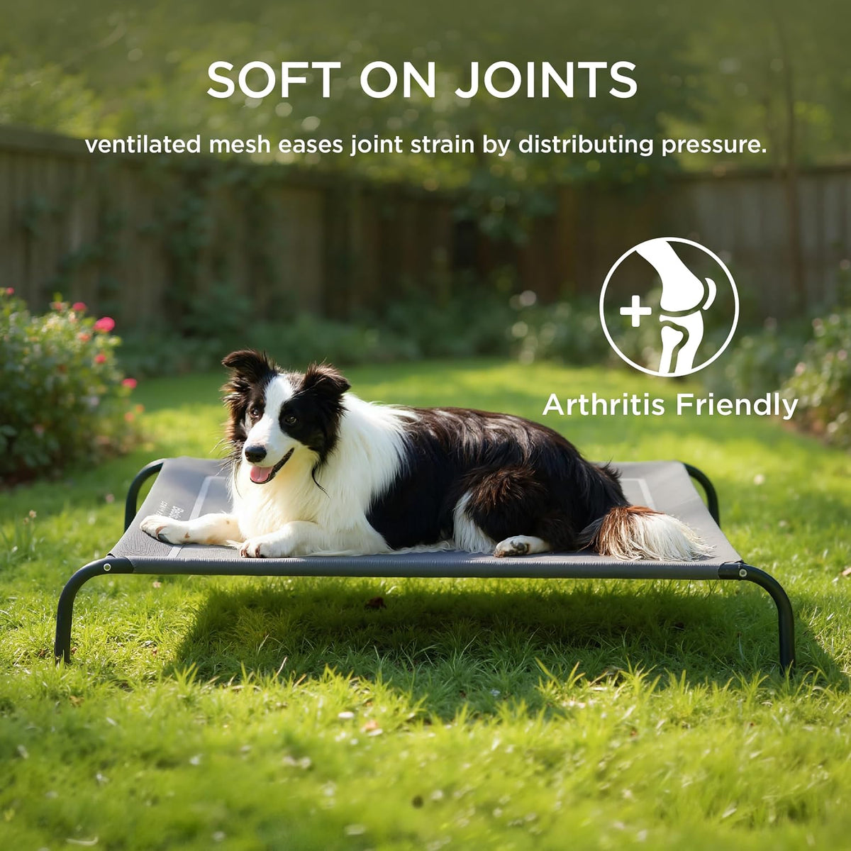 bedsure outdoor elevated cooling dog bed large sized on a desk or shelf