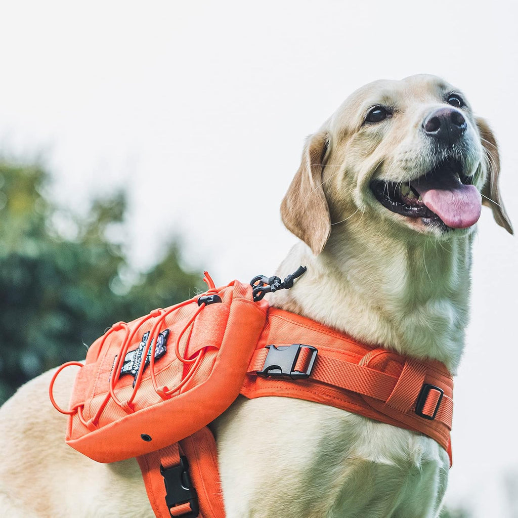 onetigris dog backpack for medium & large dogs shown in use