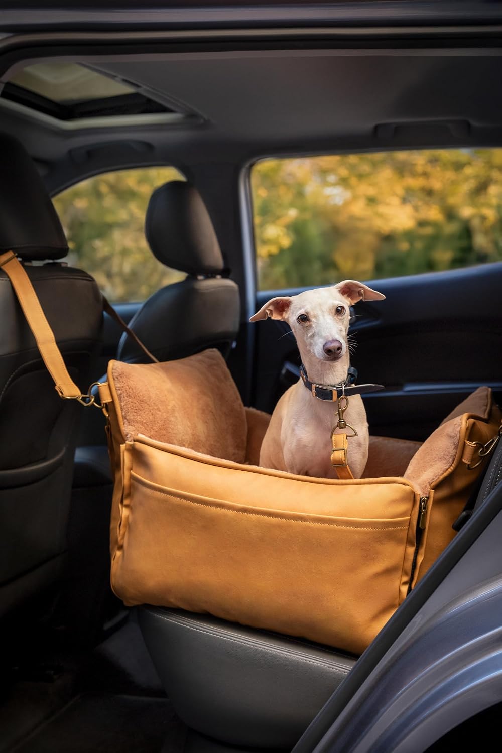 noah & paw dog car seat for small, side view
