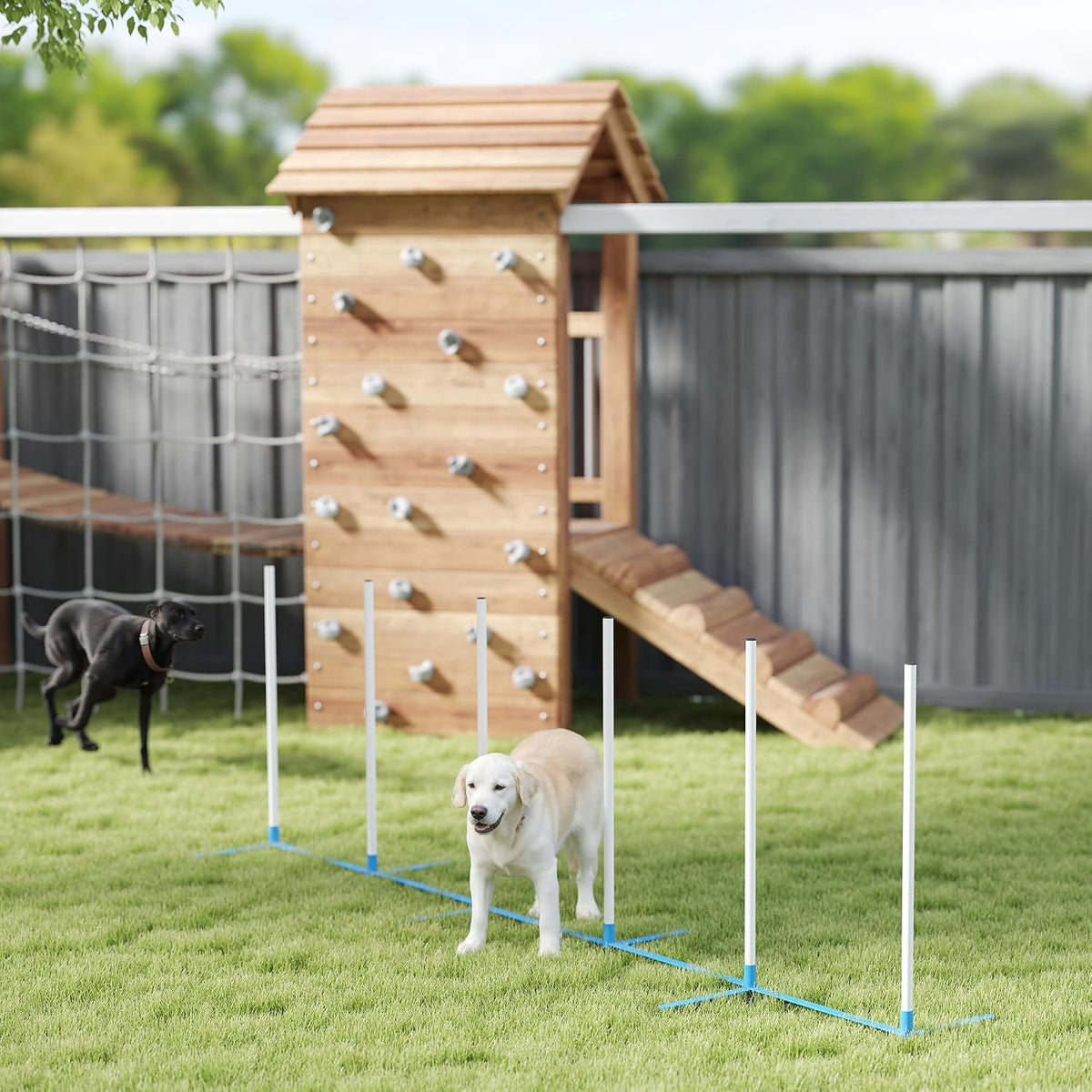 pawhut dog agility training equipment set with weave, front angle view