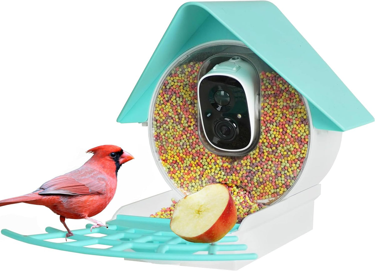 birdkiss smart bird feeder camera with solar panel, main product view
